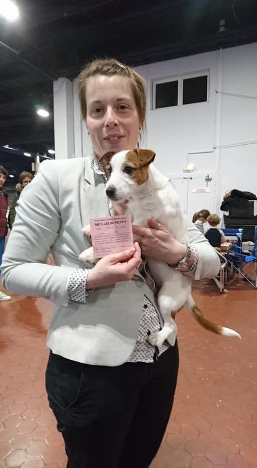 Des Puppies De Madras - 24 Mars 2019 Exposition internationale d'Angers